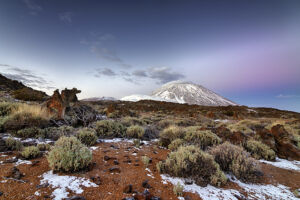 Teide nevado en el parque nacional a las primeras luces del amancer - Vicente R. Bosch